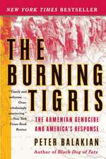 The Burning Tigris