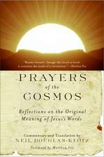 Prayers of the Cosmos: Reflections on the Original Meaning of Jesus's Words