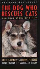 The Dog Who Rescues Cats: True Story of Ginny, The