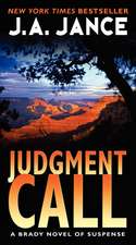 Judgment Call: A Brady Novel of Suspense