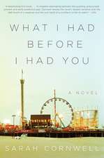 What I Had Before I Had You: A Novel