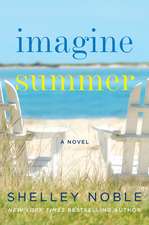 Imagine Summer: A Novel