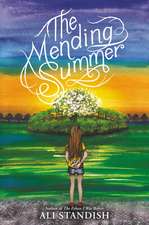 The Mending Summer