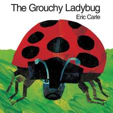 The Grouchy Ladybug