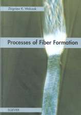 Processes of Fiber Formation