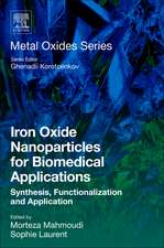 Iron Oxide Nanoparticles for Biomedical Applications: Synthesis, Functionalization and Application