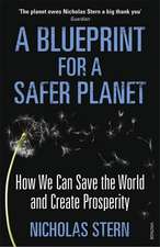 Stern, N: Blueprint for a Safer Planet