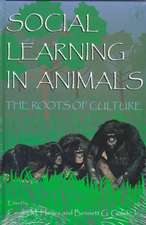 Social Learning In Animals: The Roots of Culture