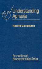 Understanding Aphasia