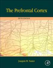 The Prefrontal Cortex