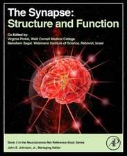 The Synapse: Structure and Function