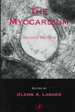 The Myocardium