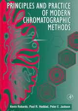 Principles and Practice of Modern Chromatographic Methods