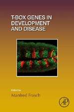 T-box Genes in Development and Disease