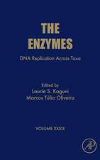 DNA Replication Across Taxa