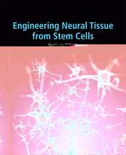 Engineering Neural Tissue from Stem Cells