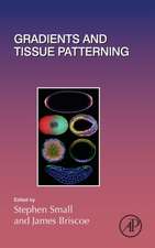 Gradients and Tissue Patterning