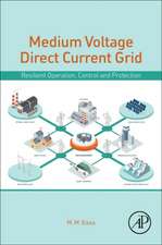 Medium-Voltage Direct Current Grid