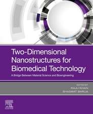 Two-Dimensional Nanostructures for Biomedical Technology: A Bridge between Material Science and Bioengineering