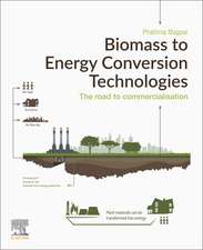 Biomass to Energy Conversion Technologies: The Road to Commercialization