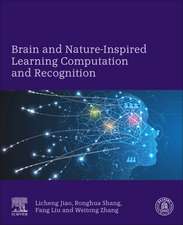 Brain and Nature-Inspired Learning, Computation and Recognition