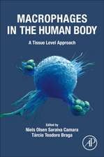 Macrophages in the Human Body: A Tissue Level Approach