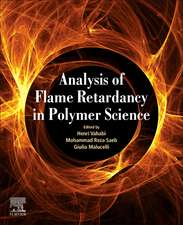 Analysis of Flame Retardancy In Polymer Science