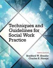 Sheafor, B: Techniques and Guidelines for Social Work Practi