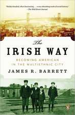 The Irish Way: Becoming American in the Multiethnic City