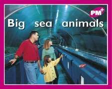 Big Sea Animals PM Plus Magenta 2