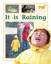 It is Raining PM PLUS Level 8&9 The Environment Non Fiction Yellow