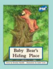 Baby Bear's Hiding PM PLUS Blue 10