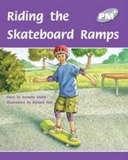 Riding The Skateboard Ramps PM PLUS Level 23 Silver