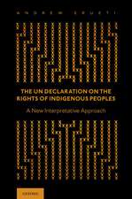 The UN Declaration on the Rights of Indigenous Peoples: A New Interpretative Approach