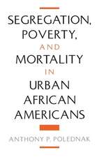 Segregation, Poverty, and Morality in Urban African Americans