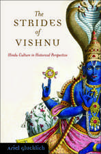 The Footsteps of Vishnu: A Historical Introduction to Hinduism