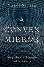 A Convex Mirror