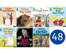 Oxford Reading Tree Word Sparks: Level 3: Class Pack of 48