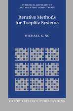 Iterative Methods for Toeplitz Systems