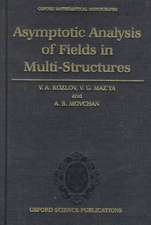 Asymptotic Analysis of Fields in Multi-structures