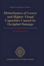 Disturbances of Lower and Higher Visual Capacities Caused by Occipital Damage