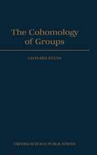 The Cohomology of Groups