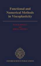 Functional and Numerical Methods in Viscoplasticity