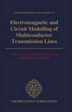 Electromagnetic and Circuit Modelling of Multiconductor Transmission Lines