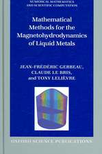 Mathematical Methods for the Magnetohydrodynamics of Liquid Metals