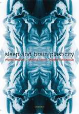 Sleep and Brain Plasticity