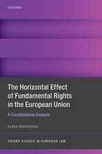 The Horizontal Effect of Fundamental Rights in the European Union: A Constitutional Analysis