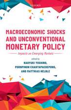 Macroeconomic Shocks and Unconventional Monetary Policy: Impacts on Emerging Markets