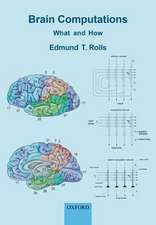 Brain Computations: What and How