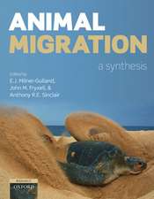 Animal Migration: A Synthesis